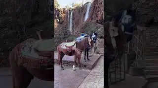 Ouzoud waterfall- a quick day trip from Marrakech