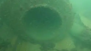 Block Island Spearfishing and Massachusetts Ship Wreck Teaser