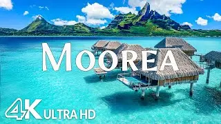 Moorea 4K - Beautiful Tropical Paradise, Coral Reefs & Emerald Peaks with Relaxing Music