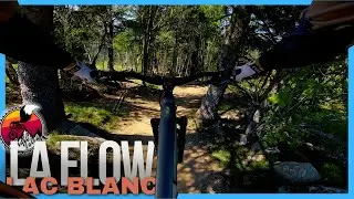 La Flow Trail Full Run | Bikepark Lac Blanc MTB // Santa Cruz 5010 v5