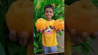 Summer Tasty ORANGE Mojito 🍹🍹#shorts #shortsfeed #shortsvideo #food #shorts