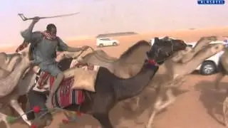 مسيرة منقية رجل الأعمال (حماد بن سعيد الصليمي الهذلي)1436 ام رقيبه