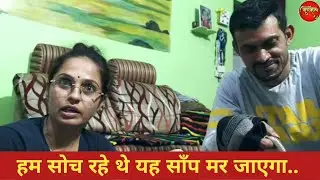 निर्जराजीको किस सापसे डर लगता है?... Injured snake rescued and treated..