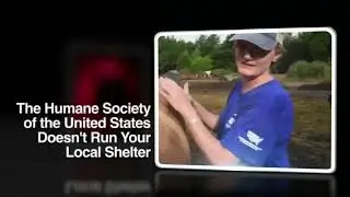 Consumer Alert from HumaneWatch