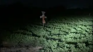 Save crops by wild animals 
