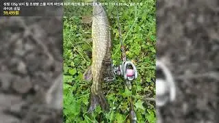 킹덤 135g 낚시 릴 초경량 스풀 미끼 파인세 미끼 캐스팅 릴 마이크로 몬스터 7.1:1 8.1:1 4kg 얕은 스풀 라이트 코일