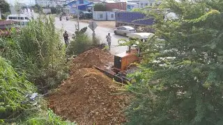 Wonderful Project Start! Skilled Bulldozer & Dump Truck Push Stone & Soil in Land Filling Operation