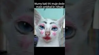 Mummy ka Dhoka | Funny Cat's | #shorts