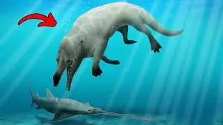 15 Incredible WHALE Species That Actually Exist