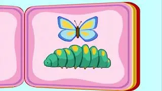 My Pop Up Book Ep 33