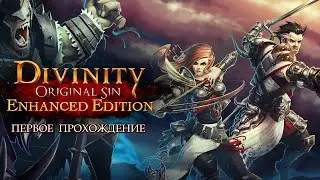 Divinity: Original Sin 🔶 Первое прохождение🔶#1