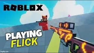 I played [FPS]Flick