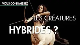 Teaser - Salons Immobilier & Habitat Hybrides  : Immexpo & Habitaexpo