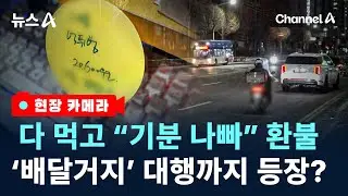 [현장 카메라]음식 먹고 환불받고 공포의 ‘배달먹튀’/ 채널A / 뉴스A