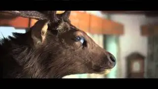 The Austrian Cowboy | Trailer by Bengar Films