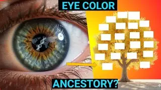 &ldquo;The Hidden Genetic Secrets of Eye Color | Ancestry Explained Through DNA&rdquo;