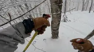 Black Mountain of Maine- Pocwock glade to T- bar Line