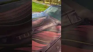 This 1980 Trans Am Came Factory With a Turbo!
