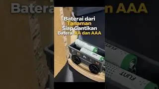 Baterai dari Tanaman Siap Gantikan Baterai AA dan AAA