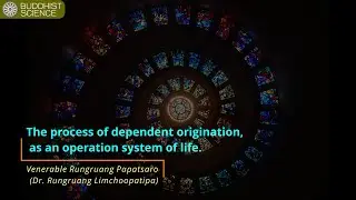 The process of dependent origination, as an operating system of life.