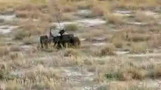 Marshall Rover - Desert Test Run