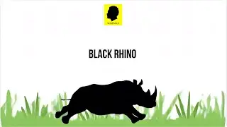 BLACK RHINO - Quasar Galactic | #hiphop #boombap #galacticadventures