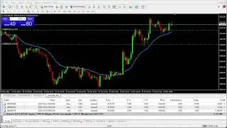Gold XAUUSD No Stops Hedge Trading | 24 Oct 25