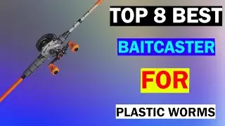 Top 8 Best Baitcaster For Plastic Worms.