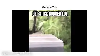 Get Stick Bugged LOL Meme