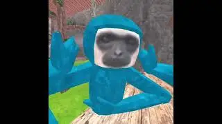 Playing OG monkey mischief