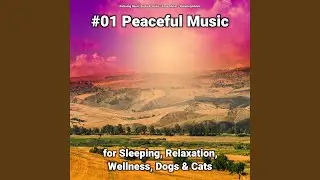 New Age Music