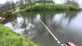 Fishing with a Nutech Spinnerbait (TopWaterAssassin78)