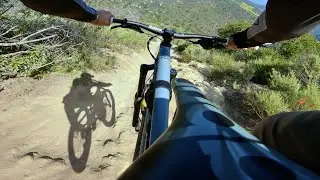 A Broken Phone Is Better Than A Broken Bone | MTB Crash | Laguna Beach| Telonics | T&A | Old Emerald