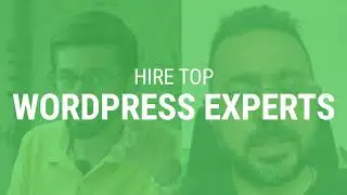 WordPress Experts
