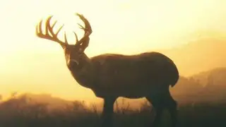RDR2 Arthur&rsquo;s final mission | NO COMMENTARY |