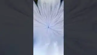 SpaceX Tests Their New Water Deluge System!!  #spacex #space #elonmusk #shorts