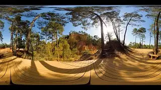 360&deg; STOCK VIDEO 4K | Viewing Platform Surrounded By Pine Trees In Ochre Landscape | Atmosphaeres