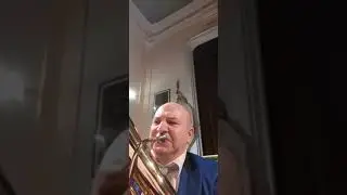 Blue Danube by Strauss, Na lijepom plavom Dunavu