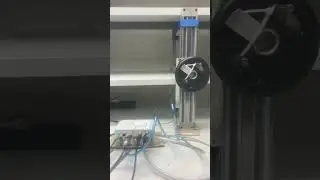 Positioning rodless pneumatic actuator