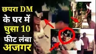 Bihar : Chhapra DM के घर में घुस गया अजगर सांप, खुद रेस्क्यू में लगे रहे IAS Subrat Kumar Sen
