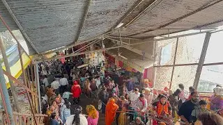 🌸आज रविवार को श्री राधा रानी जी बड़ी परिक्रमा दर्शन राधे राधे #barsana #radharani #parikrma #yt 
