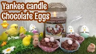 Yankee Candle Chocolate Eggs Review & Chit Chat 🍫🥚🐥