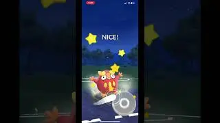 Pokemon fighting part 2