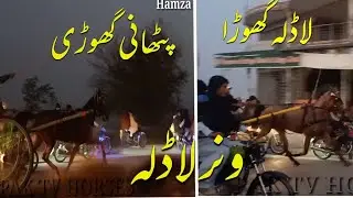 Ladla horse vs pathani Gori race 2022//pathani Gori vs ladlla horse race vedio