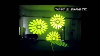 Moving Head LED Fixtures - Wiedamark