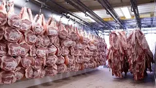 Amazing Fastest Pork Meat and Beef Cutting Skill - Modern Meat Processing Food Line Factory