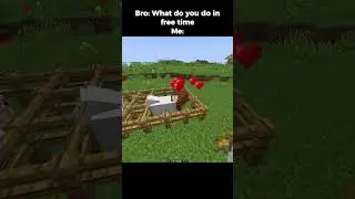 Minecraft Sheep Moment 💀🙏 #minecraft #minecraftmemes