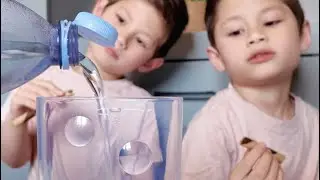 Mag hatch and grow tayo ng Sea Monkeys!