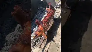 spanferkel- grill- odojak