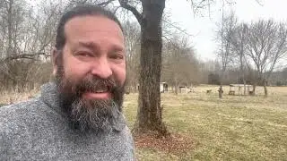 How I introduced a new goat to my herd - Sable's first weekend